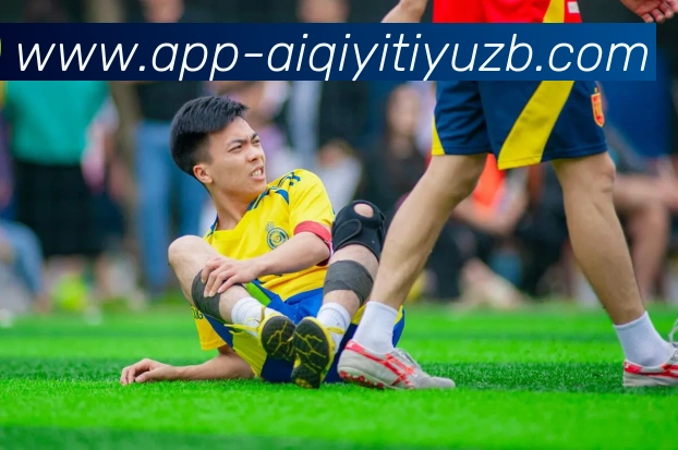 爱奇艺体育直播平台生态图